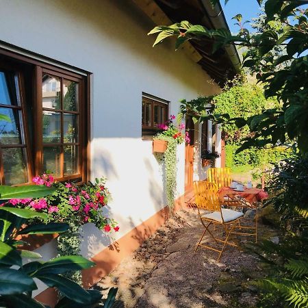 Ferienhaus Zirbe Rickenbach  Eksteriør bilde